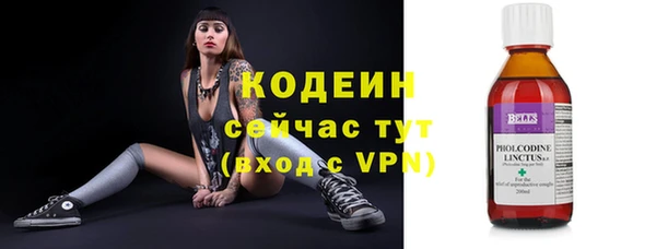 apvp Верея