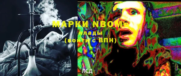 apvp Верея