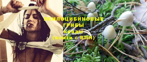 apvp Верея