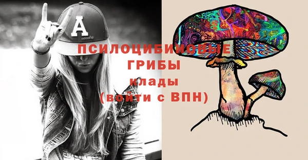 гидропоника Верхний Тагил