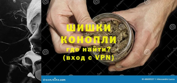 apvp Верея