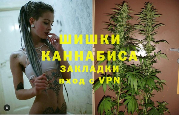 apvp Верея